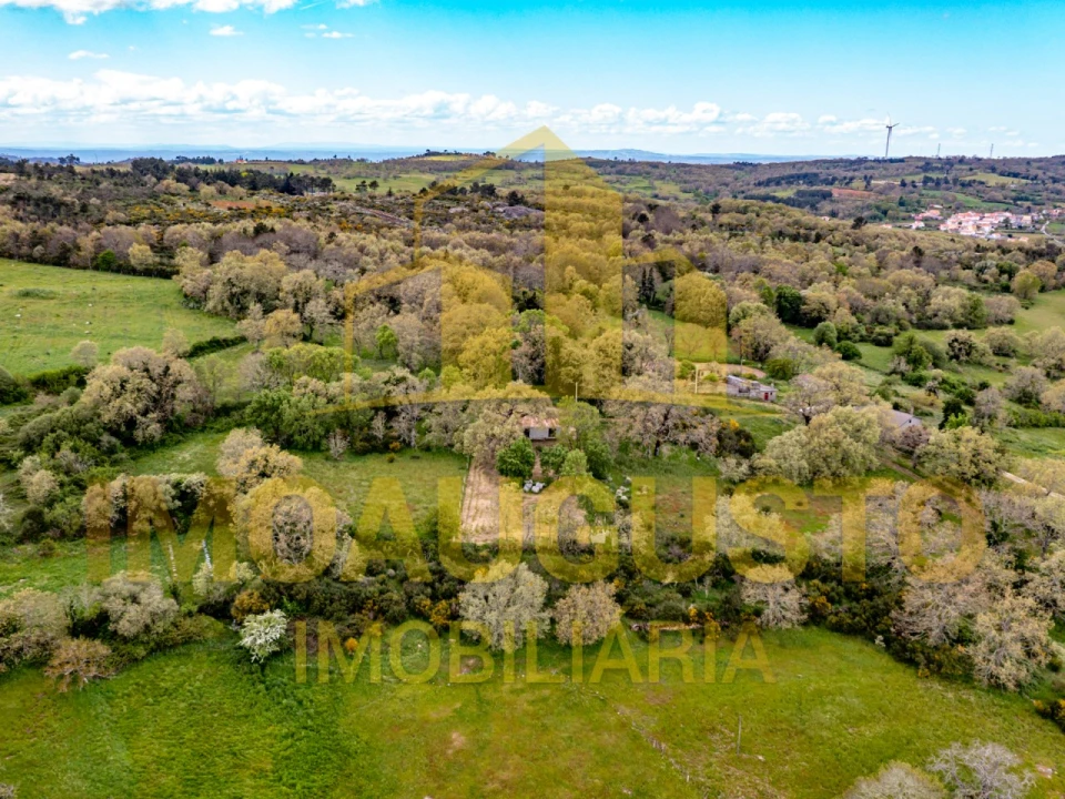 Terreno para Venda em Arrifana Foto 7