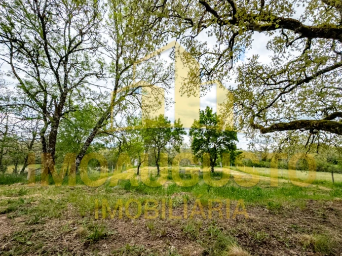 Terreno para Venda em Arrifana Foto 4