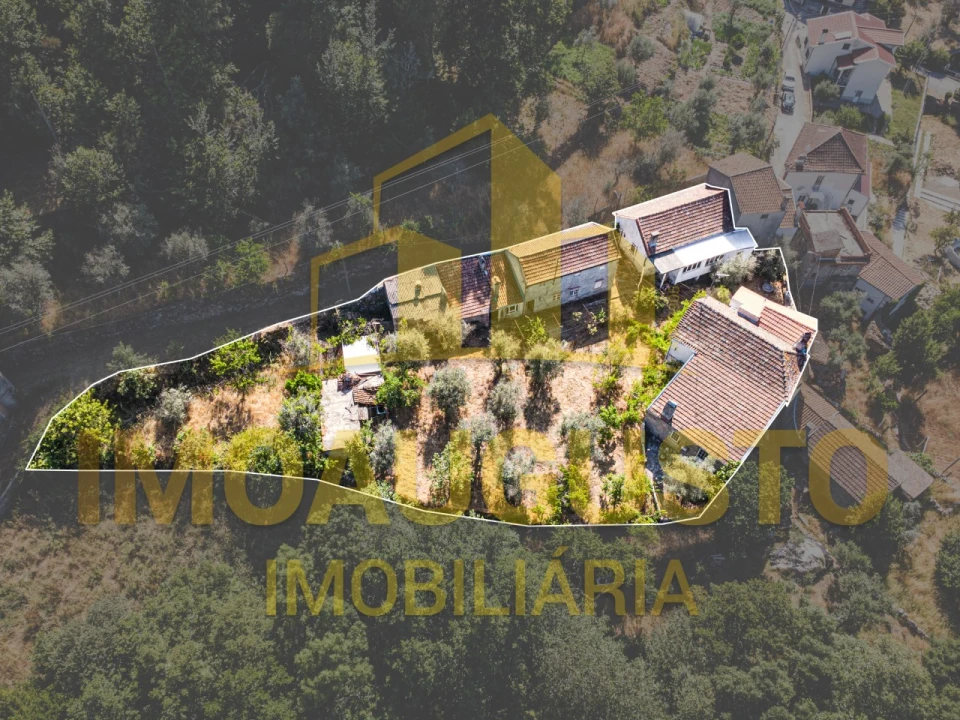 Moradia T3 para Venda em São Paio Foto 1