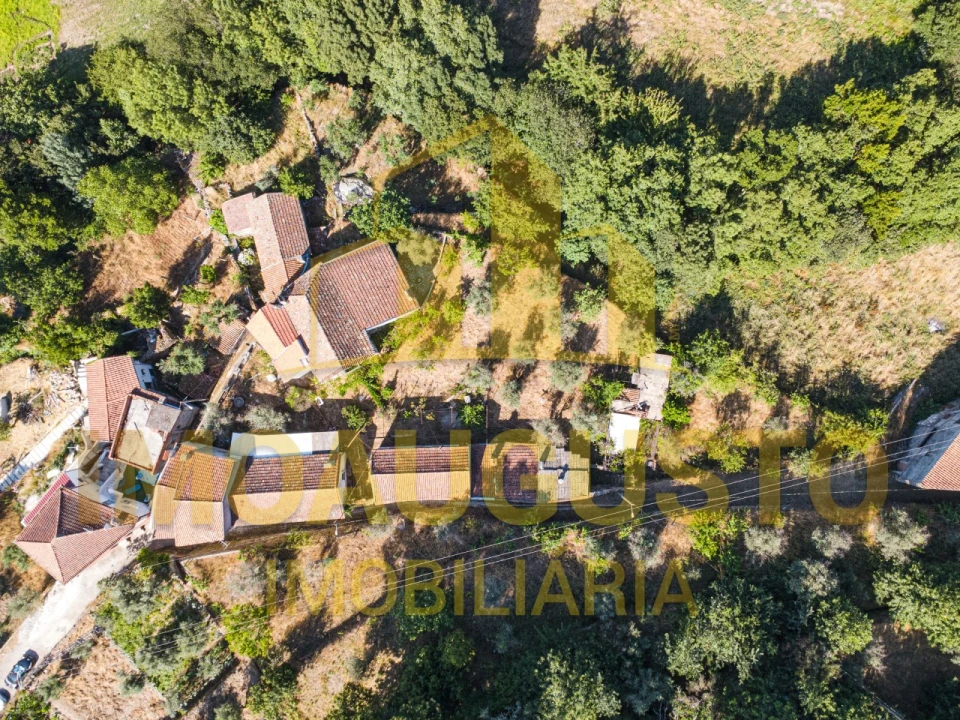 Moradia T3 para Venda em São Paio Foto 2