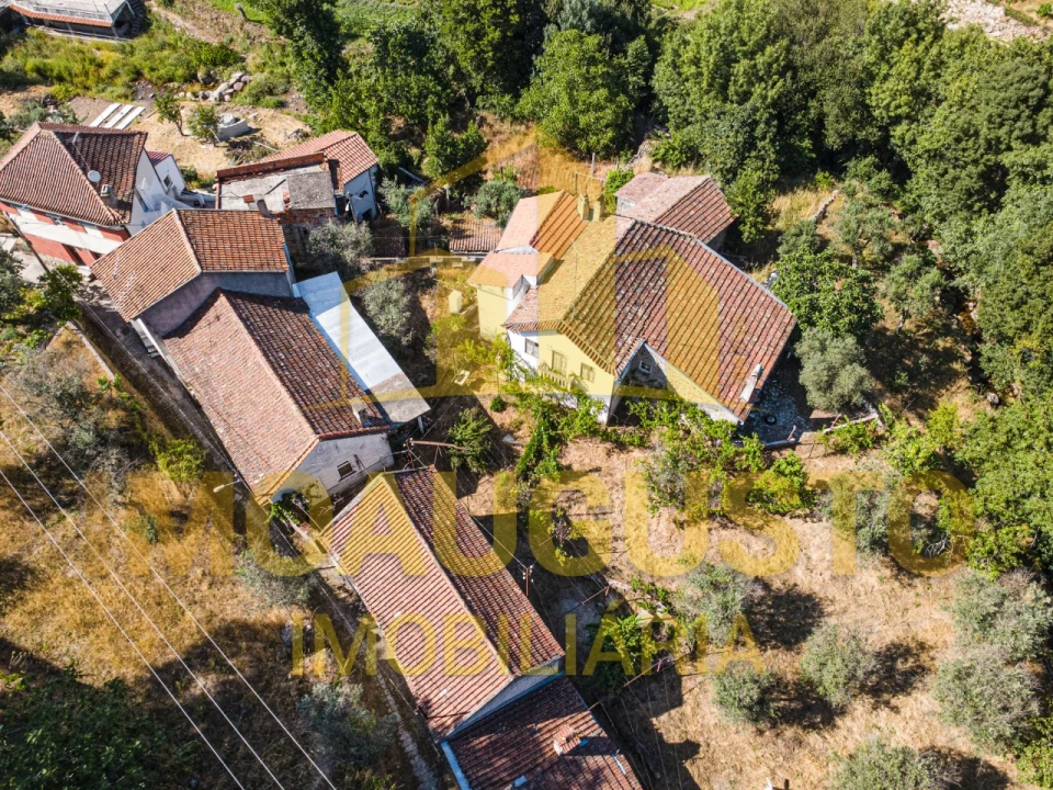 Moradia T3 para Venda em São Paio Foto 3