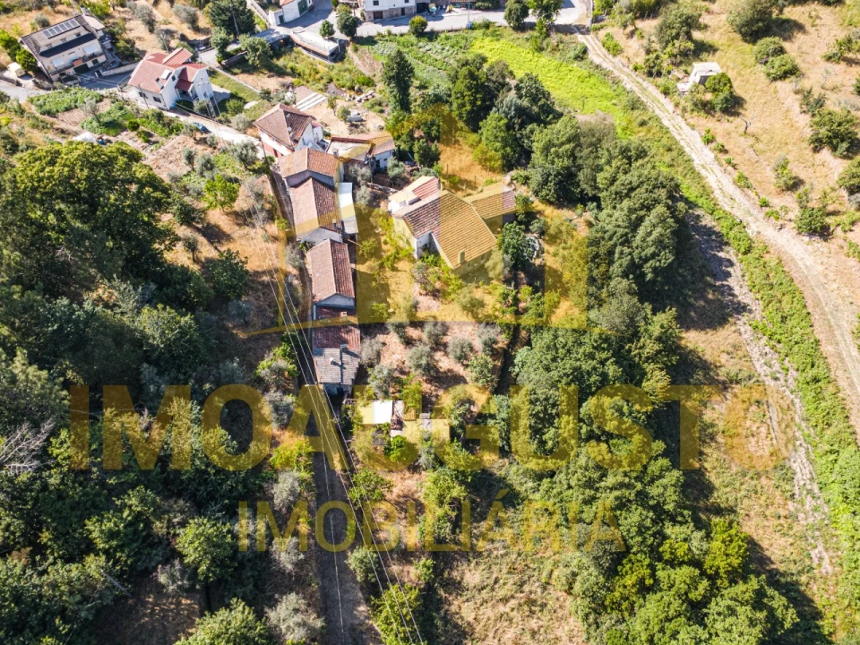 Moradia T3 para Venda em São Paio Foto 4