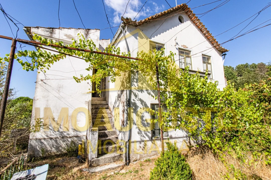 Moradia T3 para Venda em São Paio Foto 23