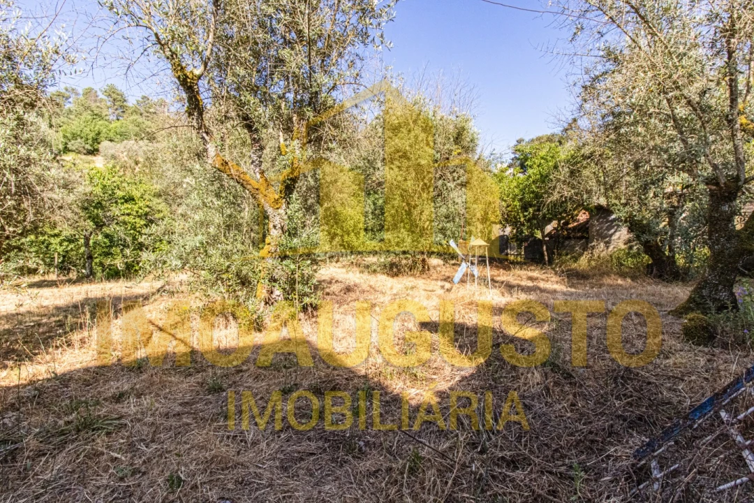 Moradia T3 para Venda em São Paio Foto 44