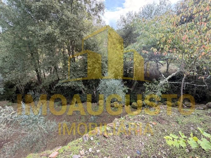 Moradia T3 para Venda em São Paio Foto 36