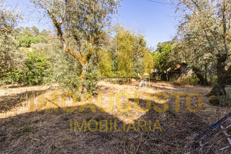 Moradia T3 para Venda em São Paio Foto 44