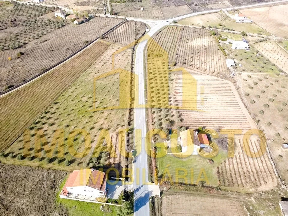 Moradia T3 para Venda em Marialva Foto 3