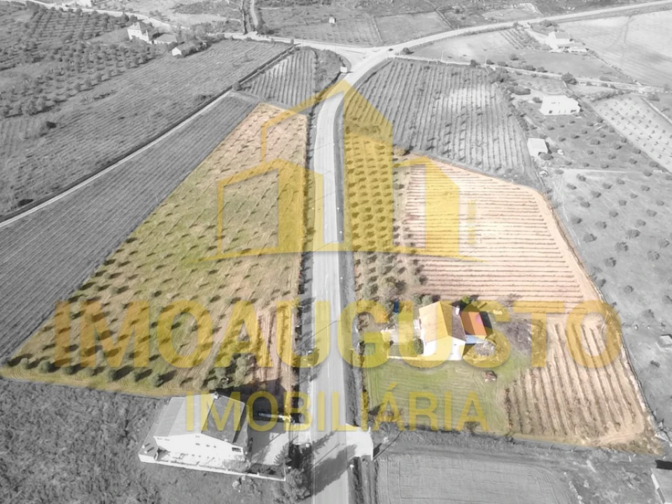 Moradia T3 para Venda em Marialva Foto 4