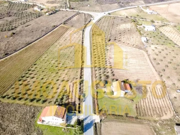 Moradia T3 para Venda em Marialva