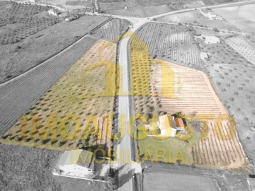 Moradia T3 para Venda em Marialva