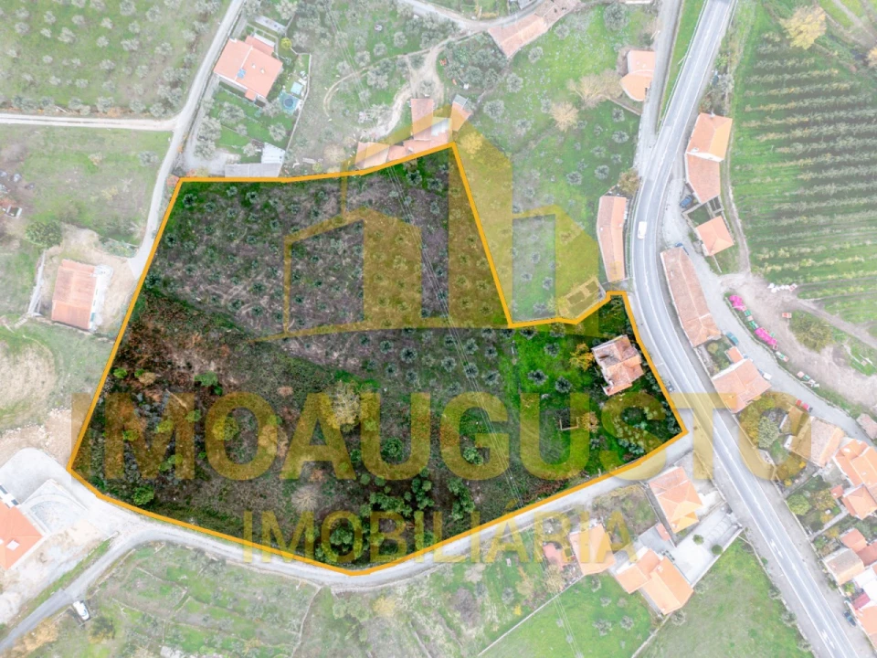 Moradia T7 para Venda em Cortiçô da Serra, Vide Entre Vinhas e Salgueirais Foto 18