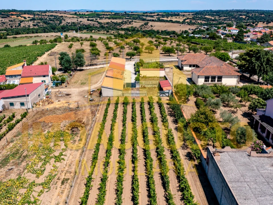 Moradia T5 para Venda em Vermiosa Foto 4