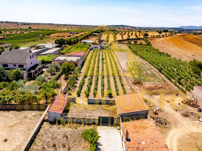 Moradia T5 para Venda em Vermiosa Foto 5