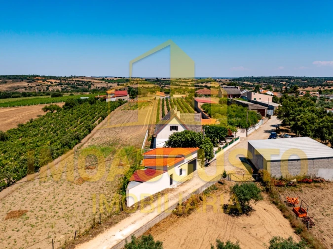 Moradia T5 para Venda em Vermiosa Foto 7