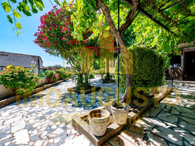 Moradia T5 para Venda em Vermiosa Foto 12