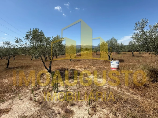 Moradia T1 para Venda em Baraçal Foto 4