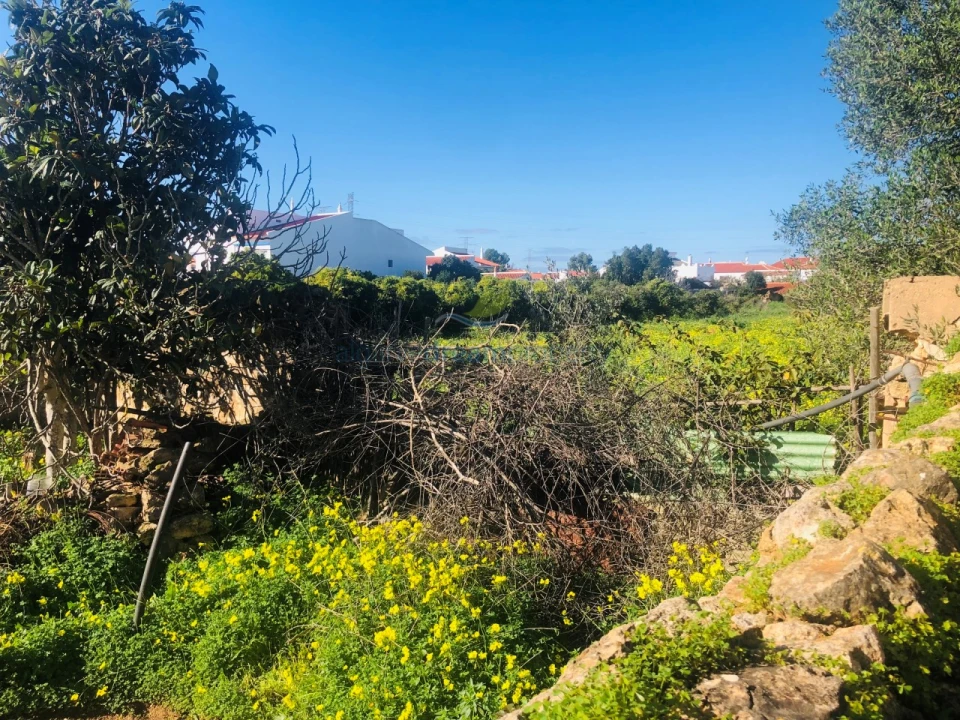 Terreno para Venda em Algoz e Tunes Foto 6