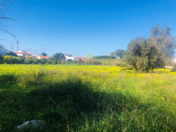 Terreno para Venda em Algoz e Tunes Foto 4