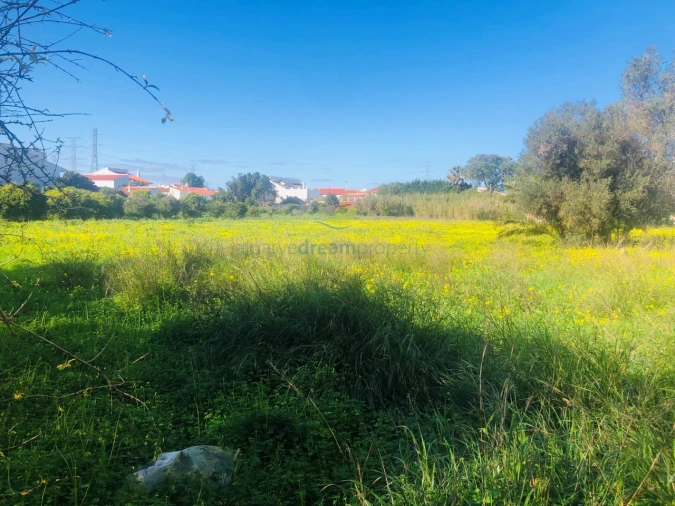 Terreno para Venda em Algoz e Tunes Foto 5