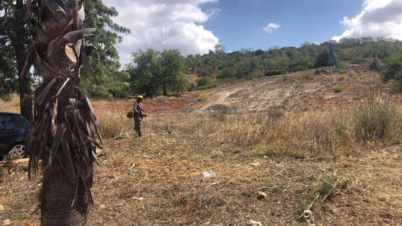 Terreno para Venda em Algoz e Tunes Foto 4