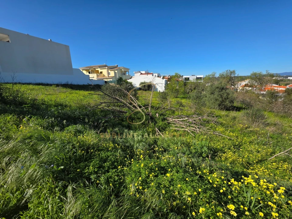 Terreno para Venda em Lagos (São Sebastião e Santa Maria) Foto 8
