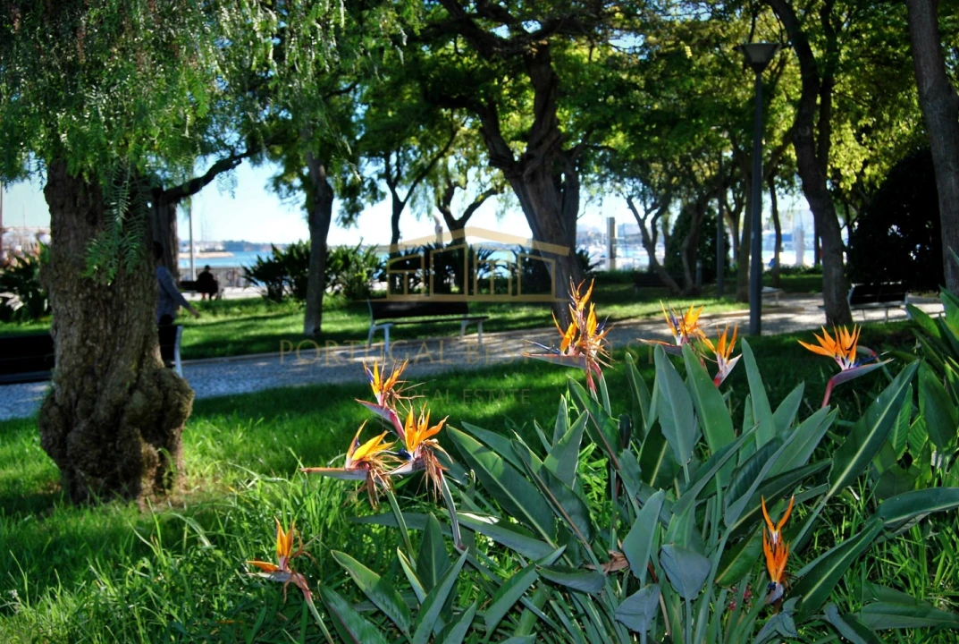 Prédio para Venda em Portimão Foto 12