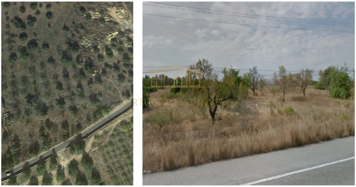 Terreno para Venda em Tavira (Santa Maria e Santiago) Foto 5