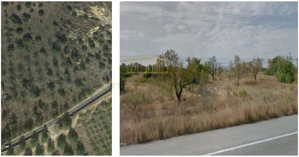 Terreno para Venda em Tavira (Santa Maria e Santiago) Foto 5