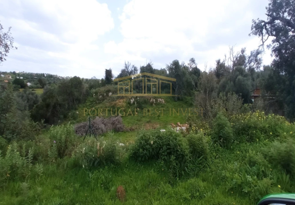 Terreno Misto para Venda em Guia Foto 3