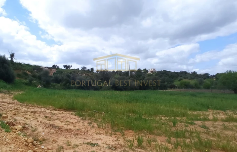 Terreno Misto para Venda em Guia Foto 2