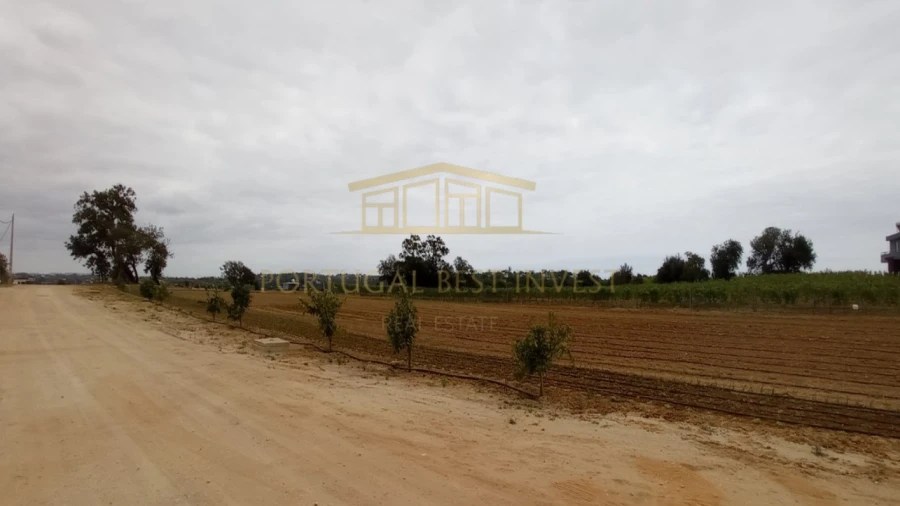 Terreno Misto para Venda em Guia