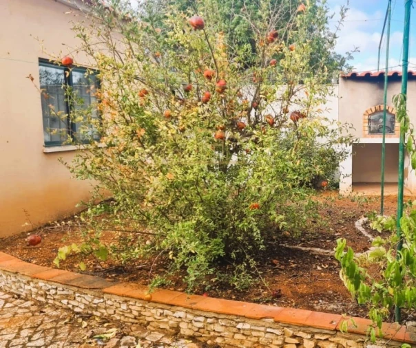 Moradia T5 para Venda em Guia Foto 6