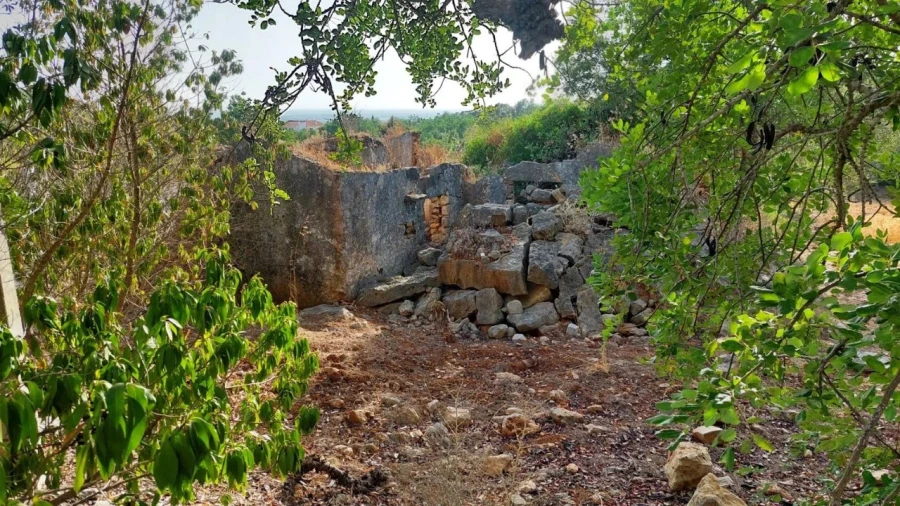 Terreno para Venda em Moncarapacho e Fuseta Foto 4