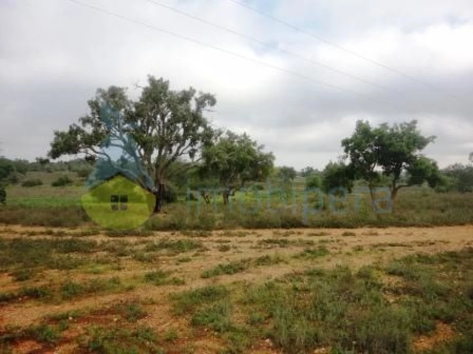 Terreno Agricola ou Rústico para Venda em Alcantarilha e Pêra Foto 3