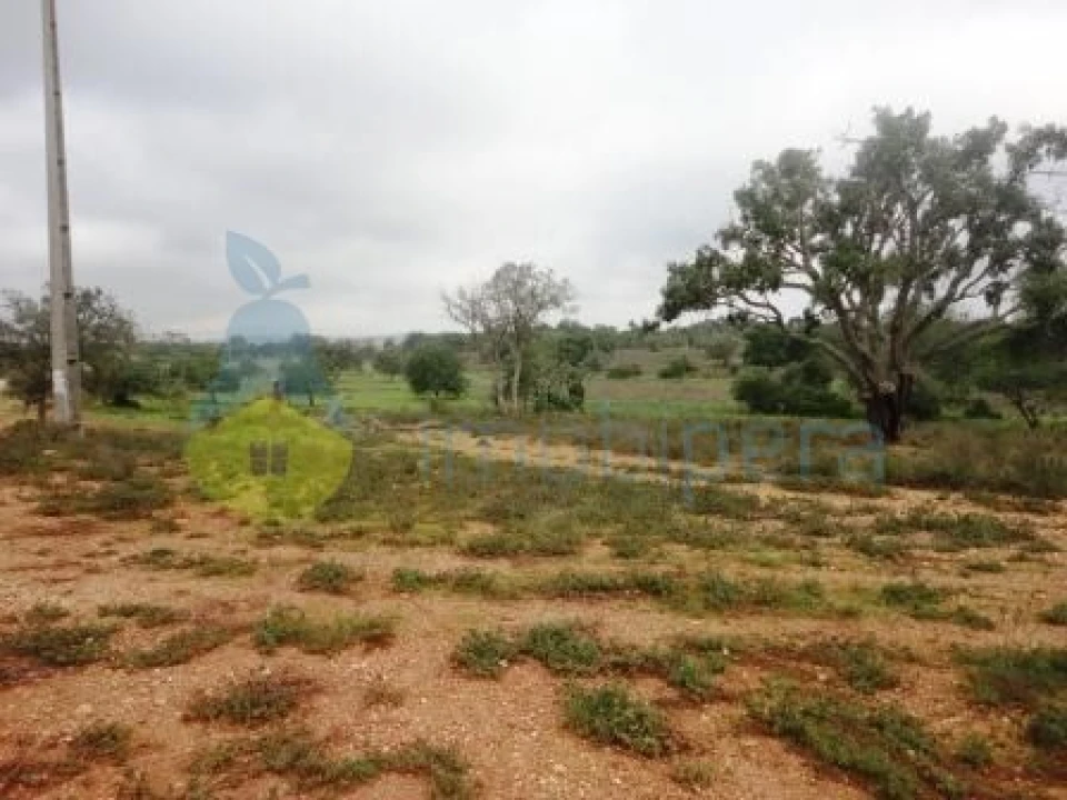 Terreno Agricola ou Rústico para Venda em Alcantarilha e Pêra Foto 4