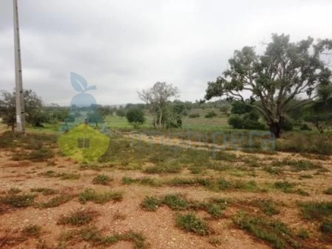 Terreno Agricola ou Rústico para Venda em Alcantarilha e Pêra Foto 4