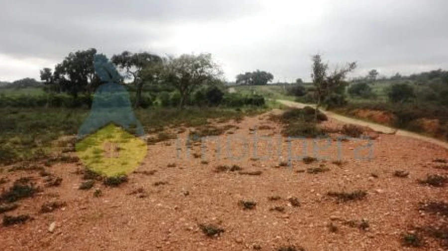Terreno Agricola ou Rústico para Venda em Alcantarilha e Pêra