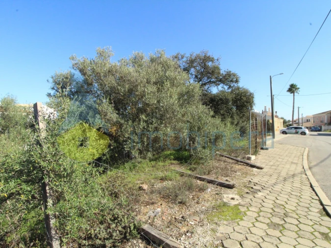 Terreno para Venda em Algoz e Tunes Foto 3