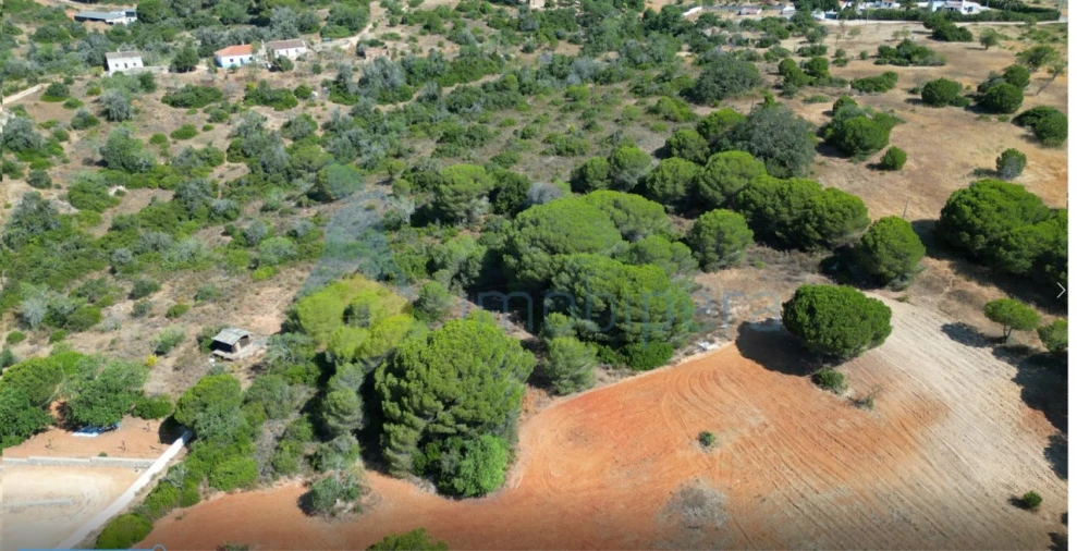 Terreno Agricola ou Rústico para Venda em Armação de Pera Foto 2