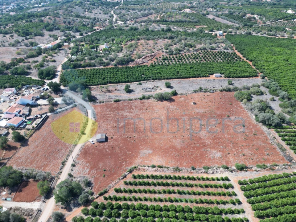 Terreno Agricola ou Rústico para Venda em Alcantarilha e Pêra Foto 1