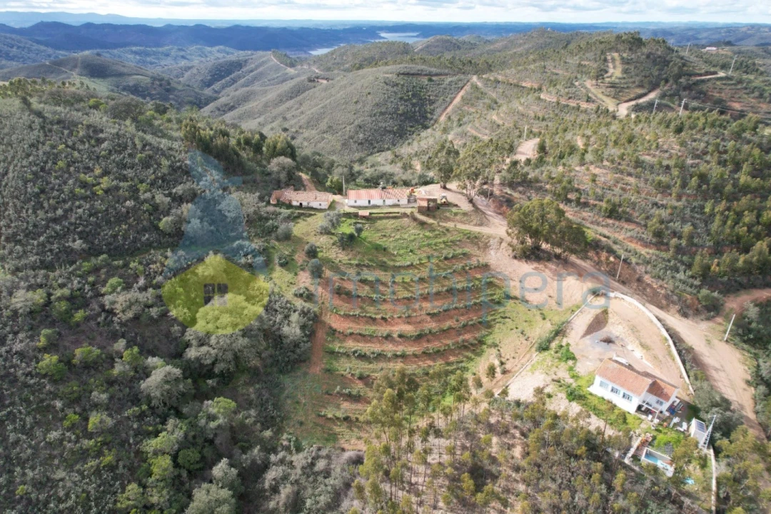 Quinta T4 para Venda em Santana da Serra Foto 5