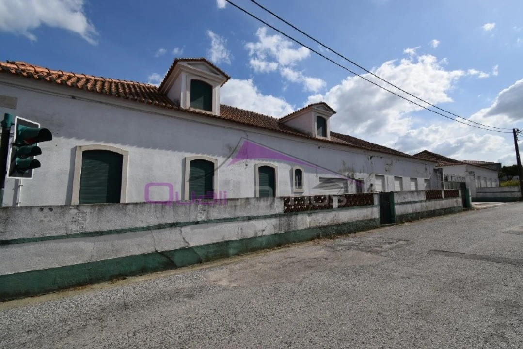 Armazém para Venda em Riachos Foto 5