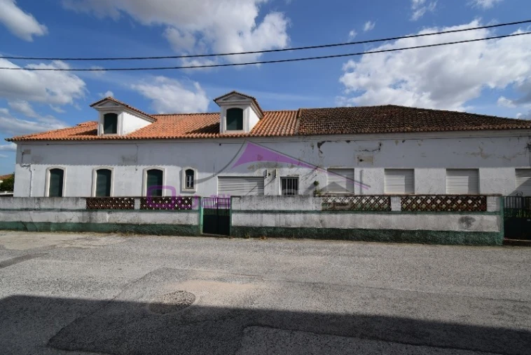 Armazém para Venda em Riachos Foto 4