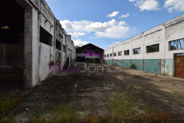 Armazém para Venda em Riachos Foto 11