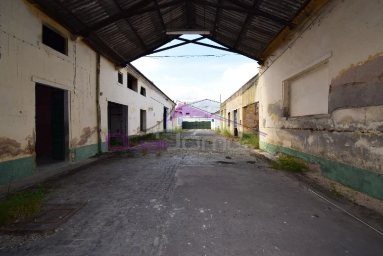 Armazém para Venda em Riachos Foto 27