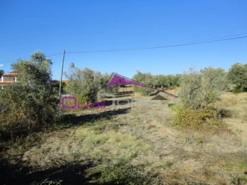 Terreno Misto para Venda em Riachos