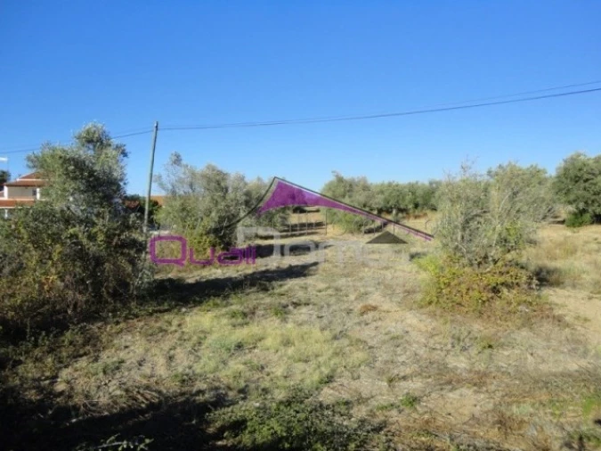 Terreno Misto para Venda em Riachos Foto 1
