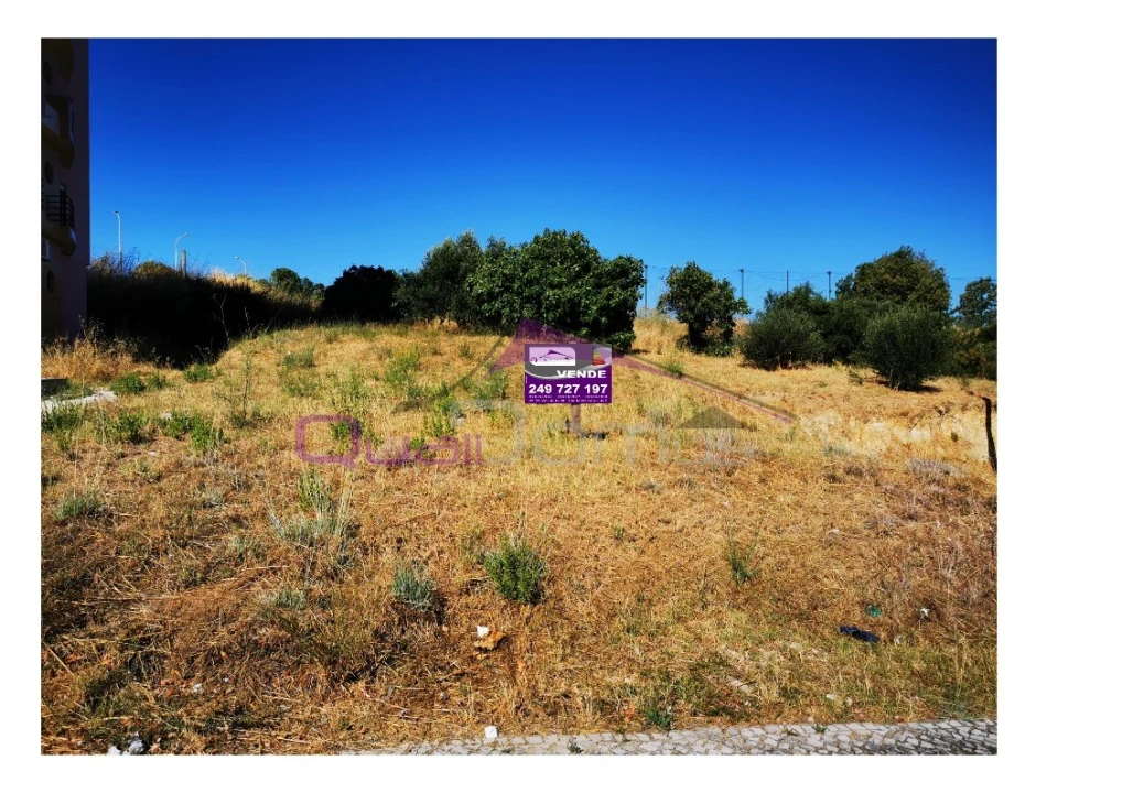 Terreno para Venda em Torres Novas (São Pedro), Lapas e Ribeira Branca Foto 2