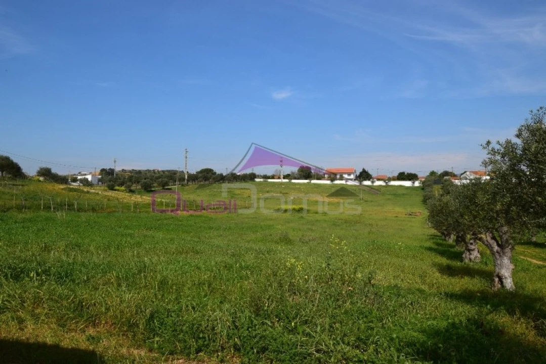 Terreno Agricola ou Rústico para Venda em Brogueira, Parceiros de Igreja e Alcorochel Foto 10