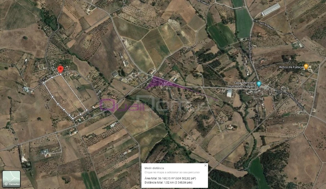 Terreno Agricola ou Rústico para Venda em Brogueira, Parceiros de Igreja e Alcorochel Foto 1